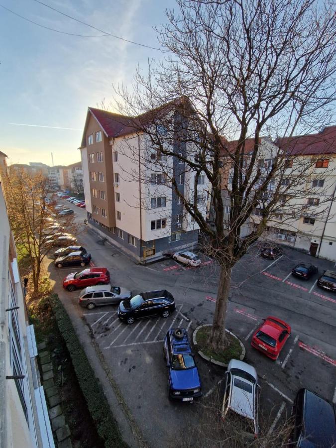 Apartament Apartament Victoria Târgu Jiu Zewnętrze zdjęcie